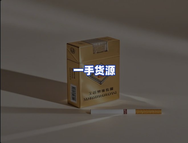 专业团队